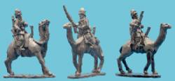 Mounted British Camel Corps